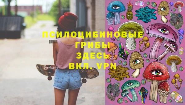 марки lsd Абаза