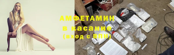 индика Абинск