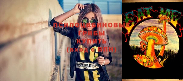 индика Абинск